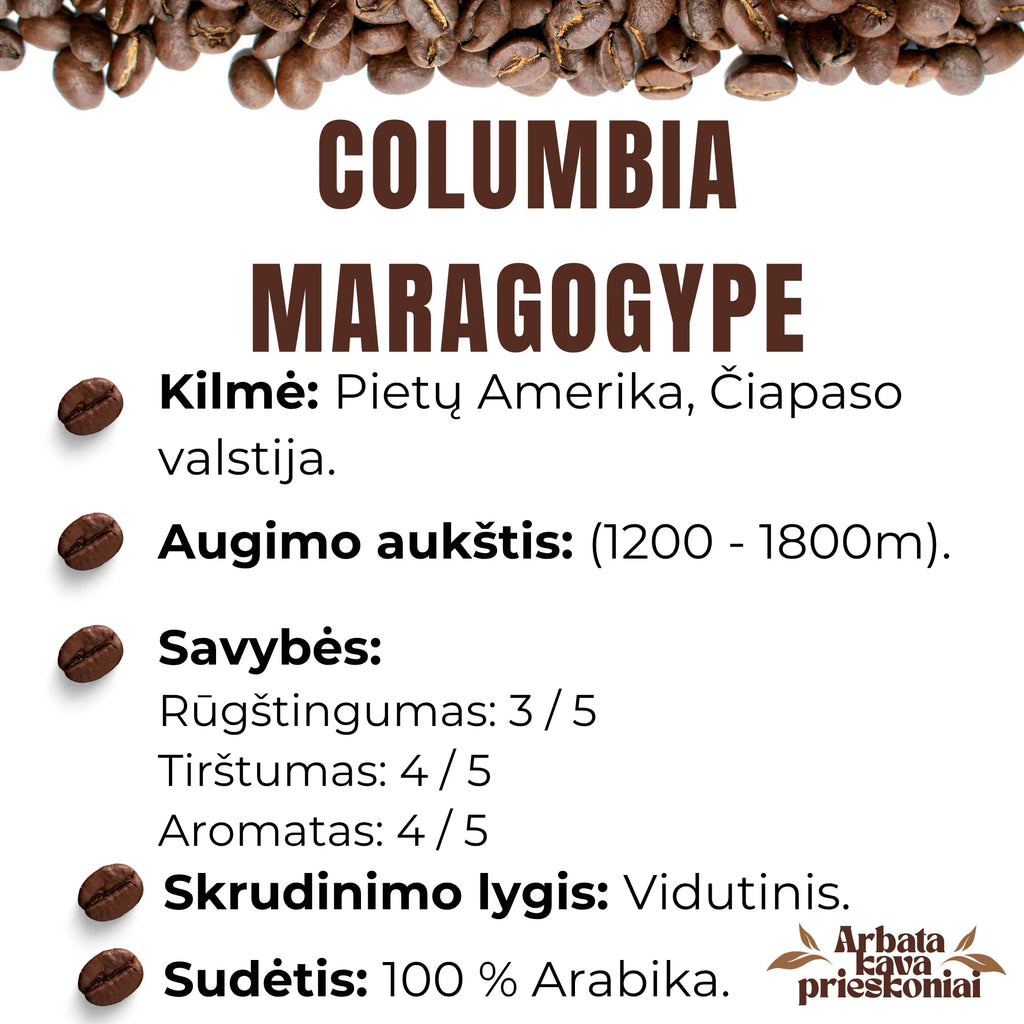 Rūšinės kavos pupelės ,,COLUMBIA MARAGOGYPE’’