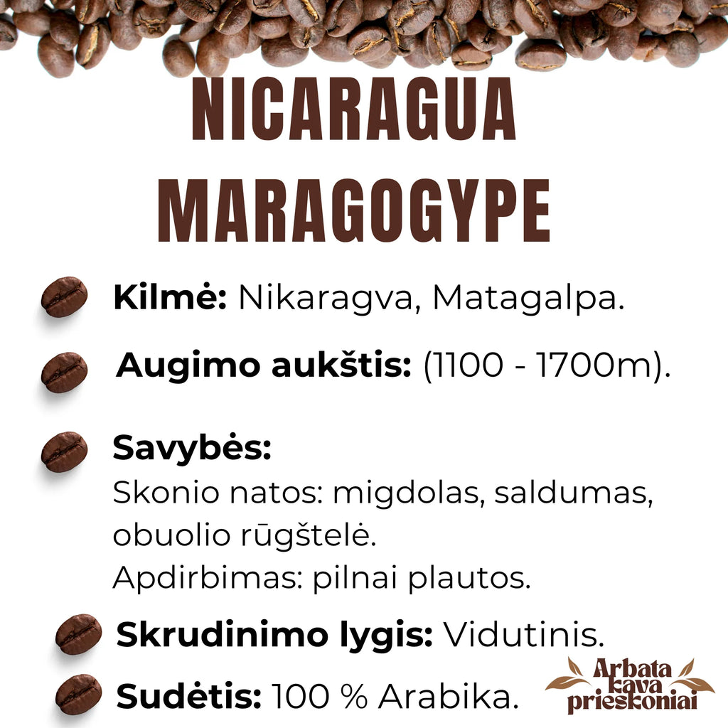 Rūšinės kavos pupelės ,,NICARAGUA MARAGOGYPE’’