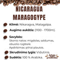 Rūšinės kavos pupelės ,,NICARAGUA MARAGOGYPE’’
